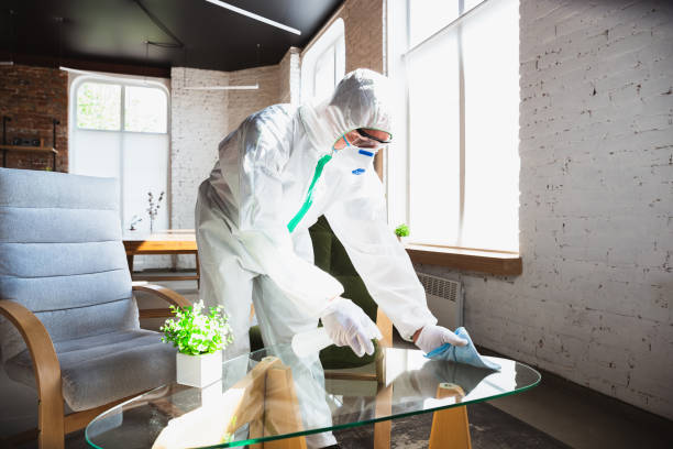 Why You Should Choose Our Mold Remediation Services in Danville, IN